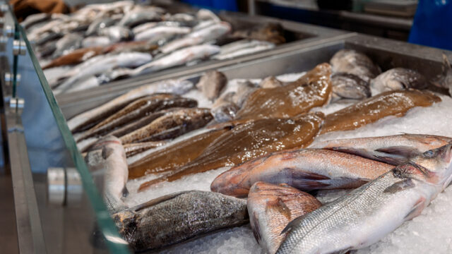 Colorful selection of seafood at fish market in Rhodes, Greece