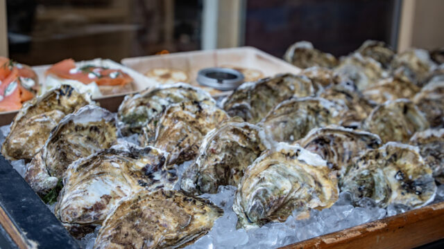 Oysters for sale at a festive Christmas Market stall in Zurich, Switzerland