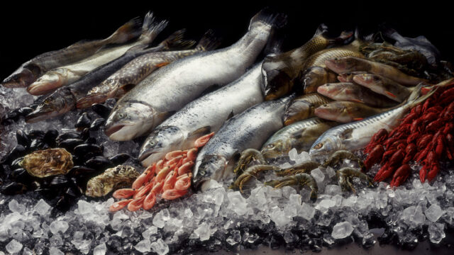 Fish still life