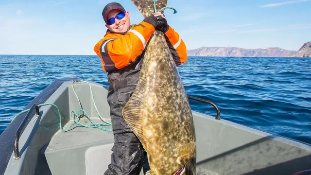 wild-caught-halibut-fillet-north-atlantic-16-18-oz-689830